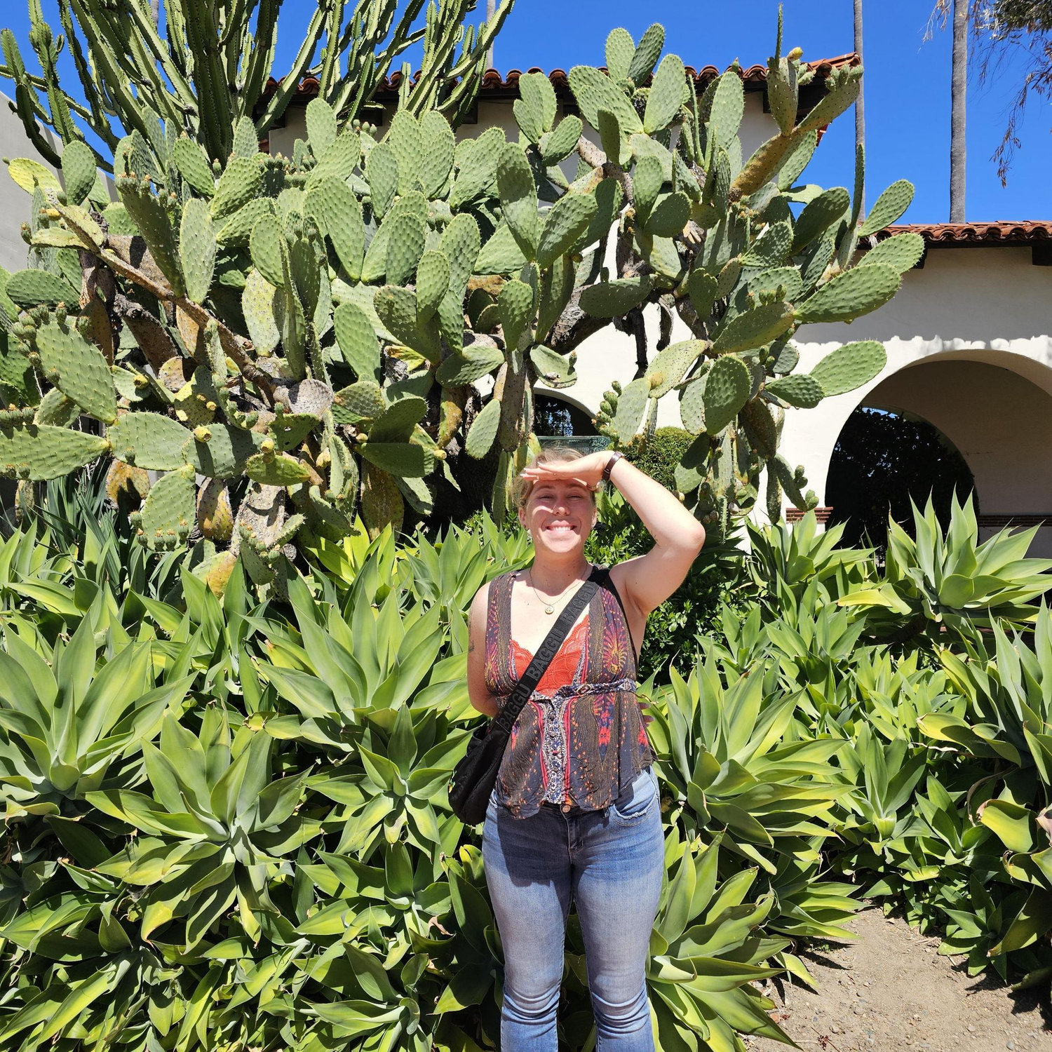Bowers Museum, Santa Ana.