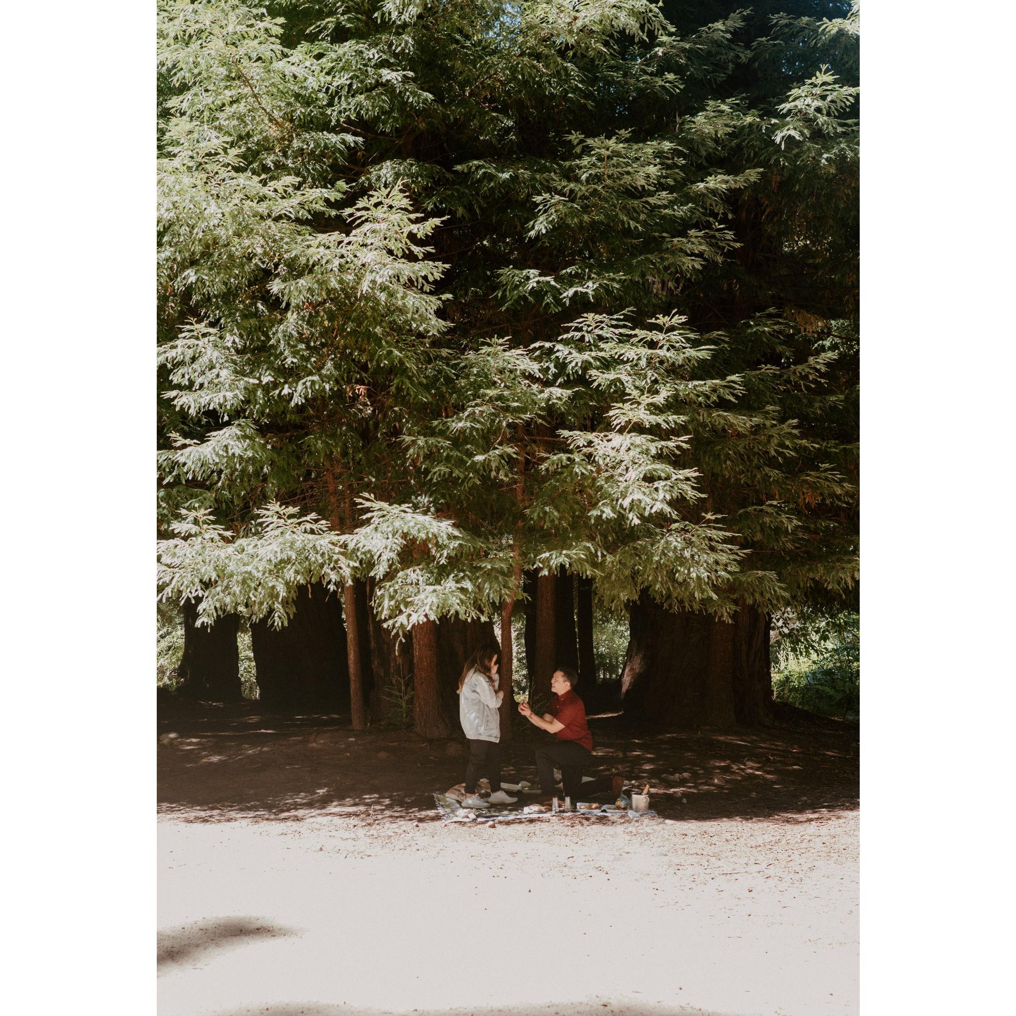 The proposal