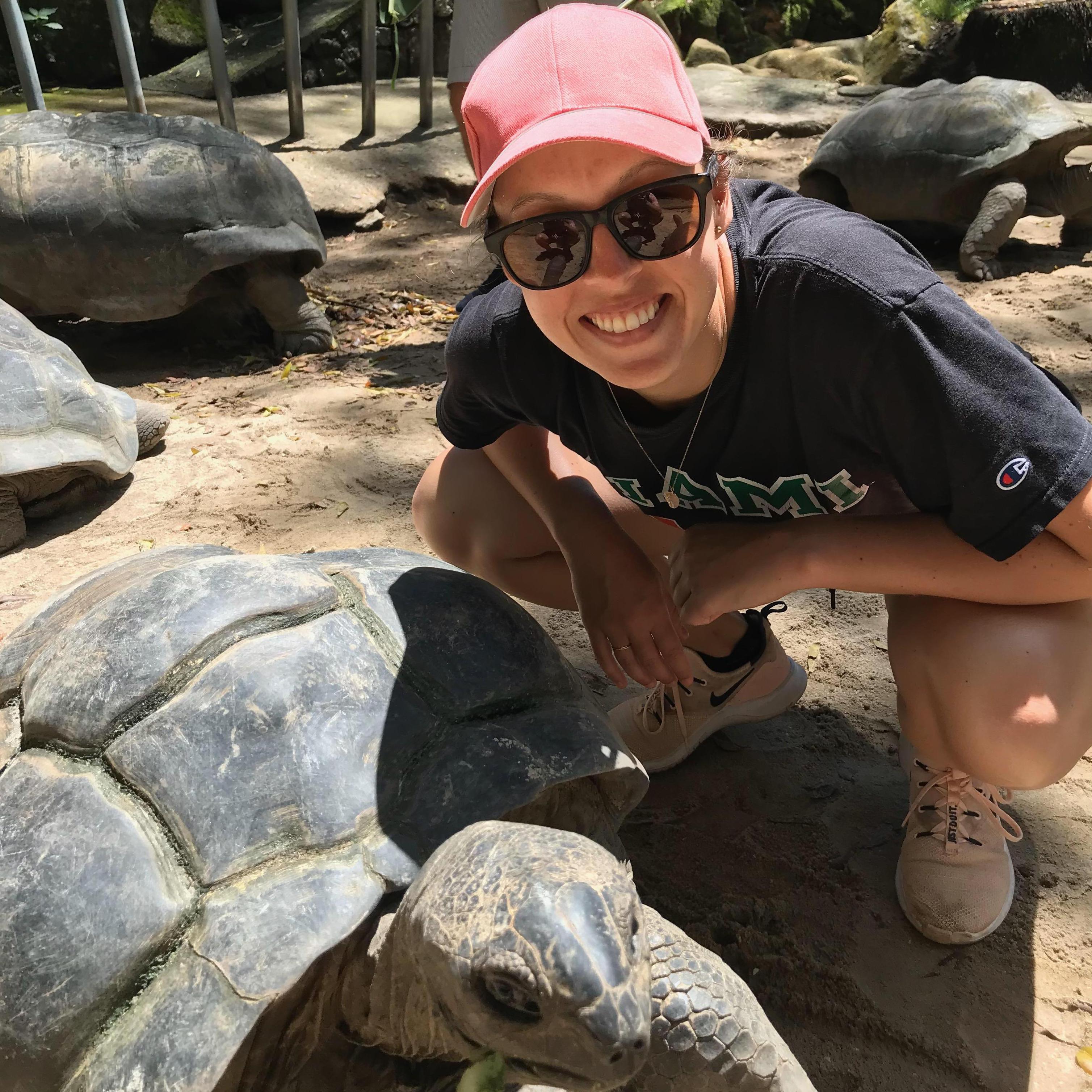 Hanging with some giant tortoises in the Seychelles.