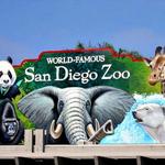 San Diego Zoo