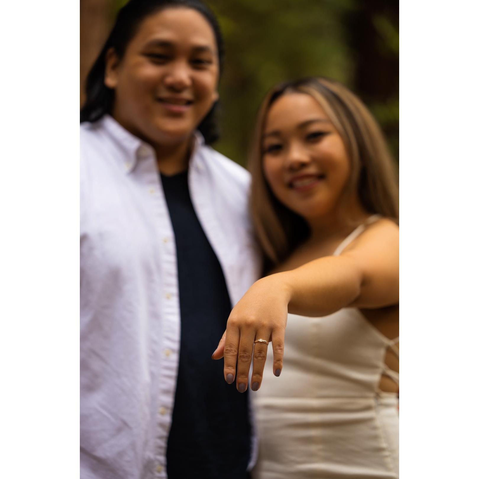Engagement Photoshoot at Redwood Grove!