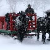 Sleigh Rides