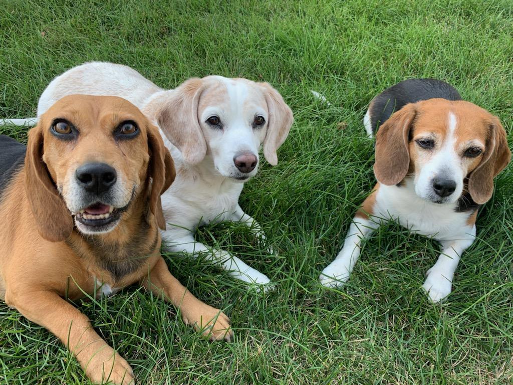 cc269f50-c2b3-49e1-af94-341eec204017