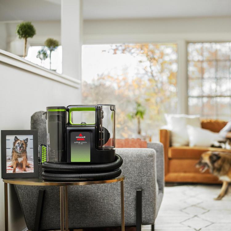 BISSELL, Little Green® Max Pet Portable Carpet Cleaner | Zola