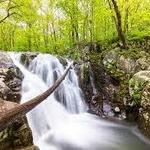 Shenandoah National Park
