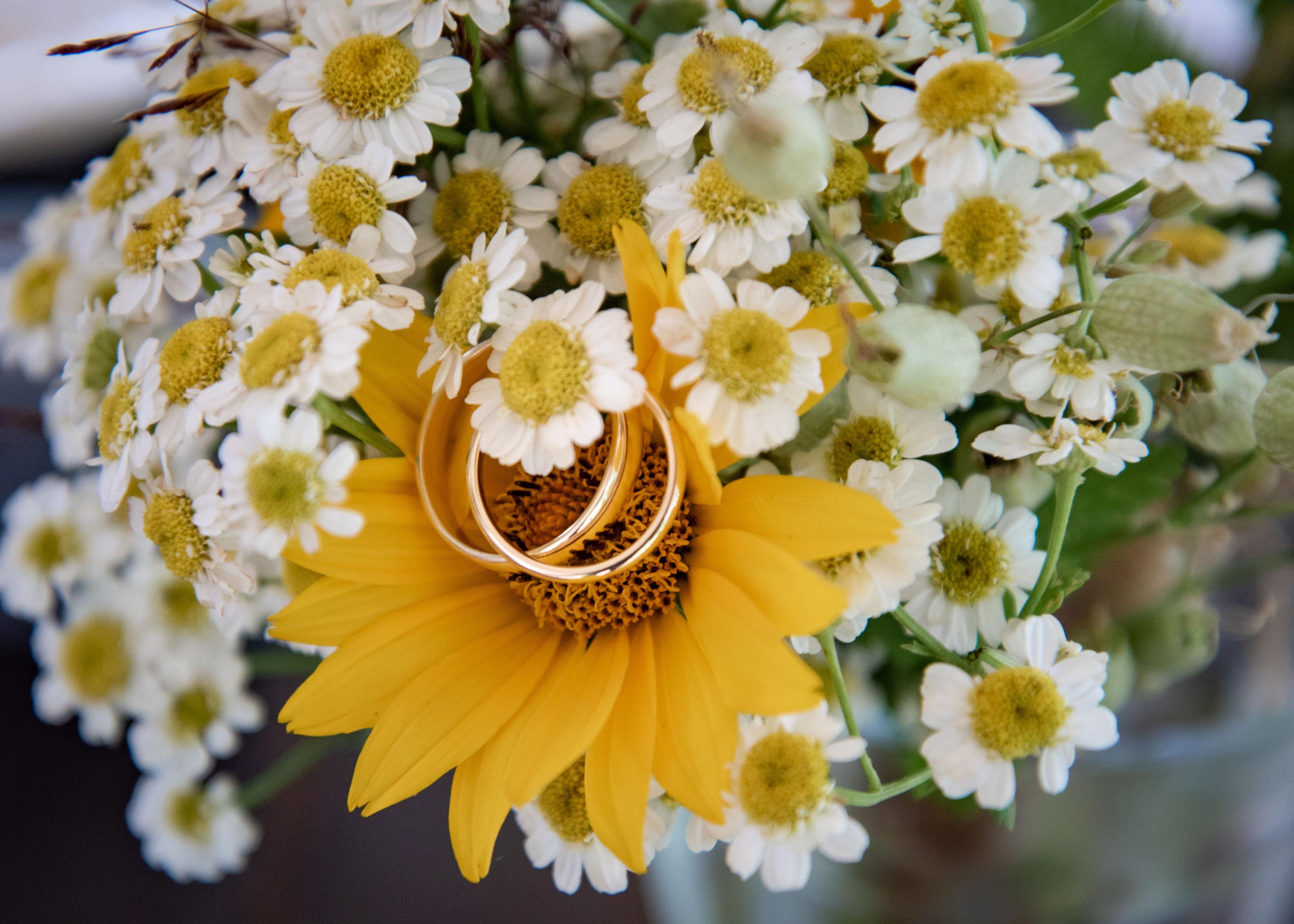 The Wedding Website of Jordan Daley and Andrew Weatherhead