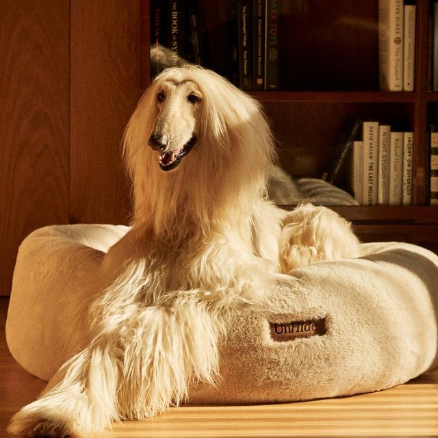 Floof Dog Bed, Large
