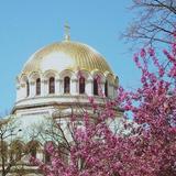 Would you be interested in a walking tour?