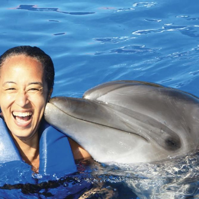 Dolphin Swim Experience