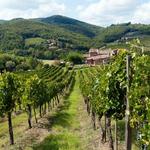 Winery Tours