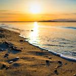 Some of Seattle's other great Neighborhoods: