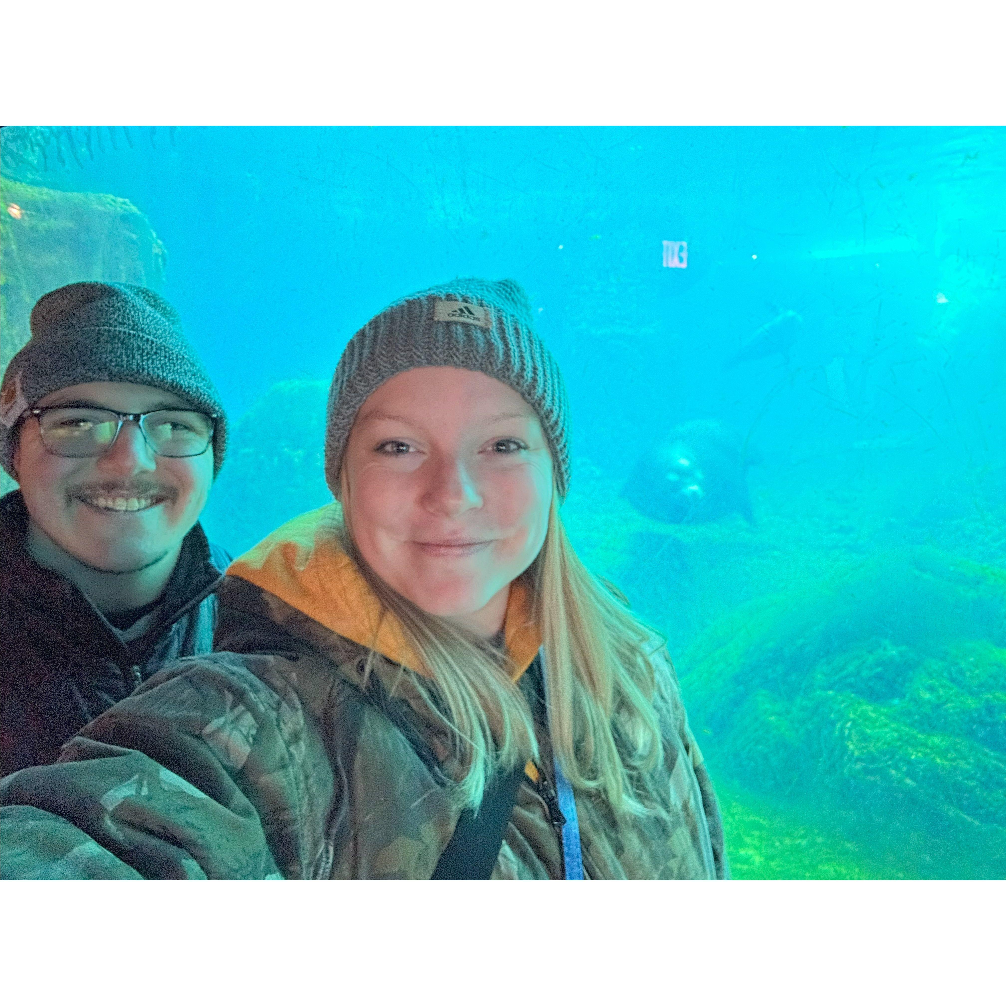 New York Aquarium date