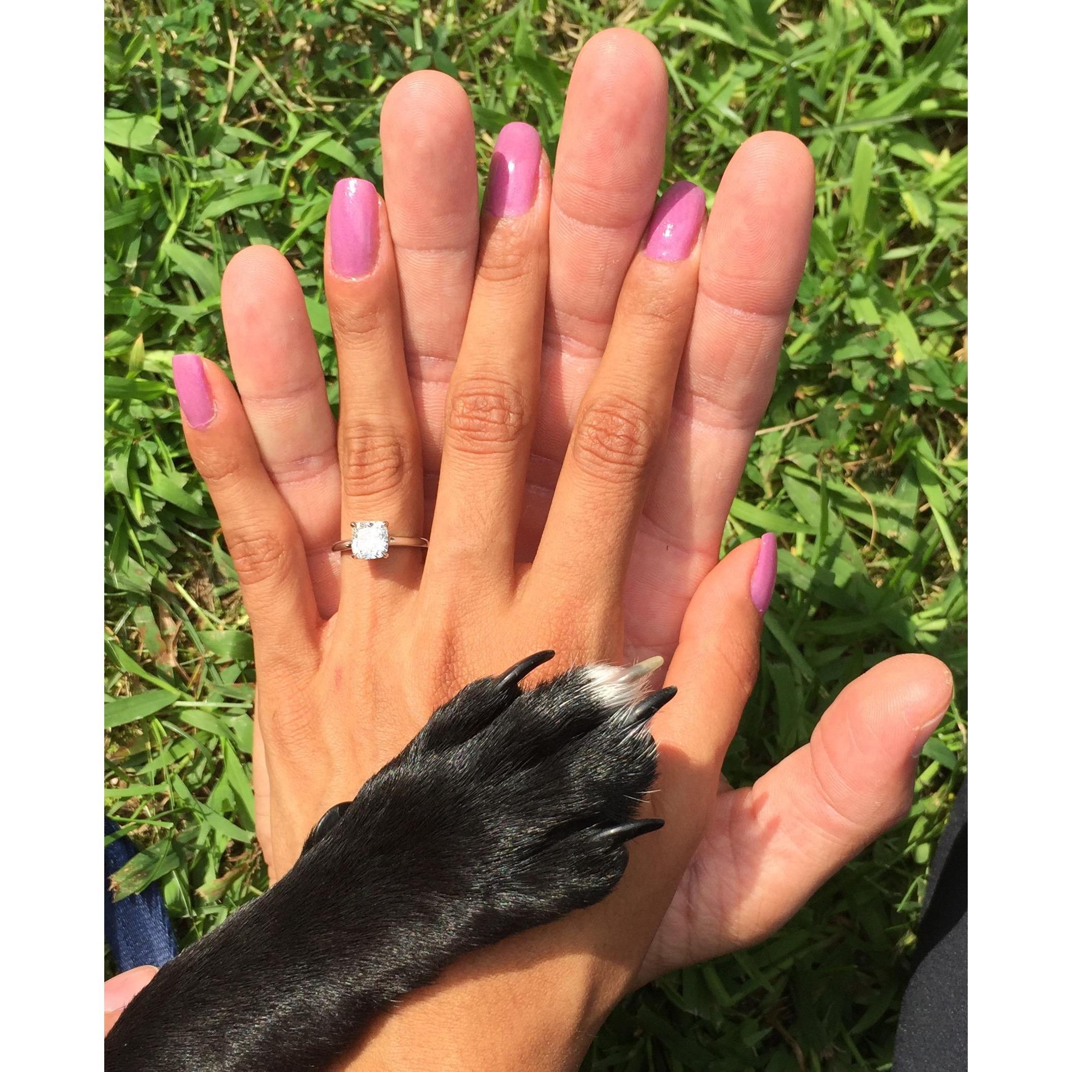 Officially Engaged