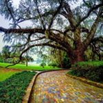 Alfred B. Maclay Gardens State Park