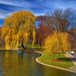 Boston Common