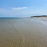 Howes Street Beach