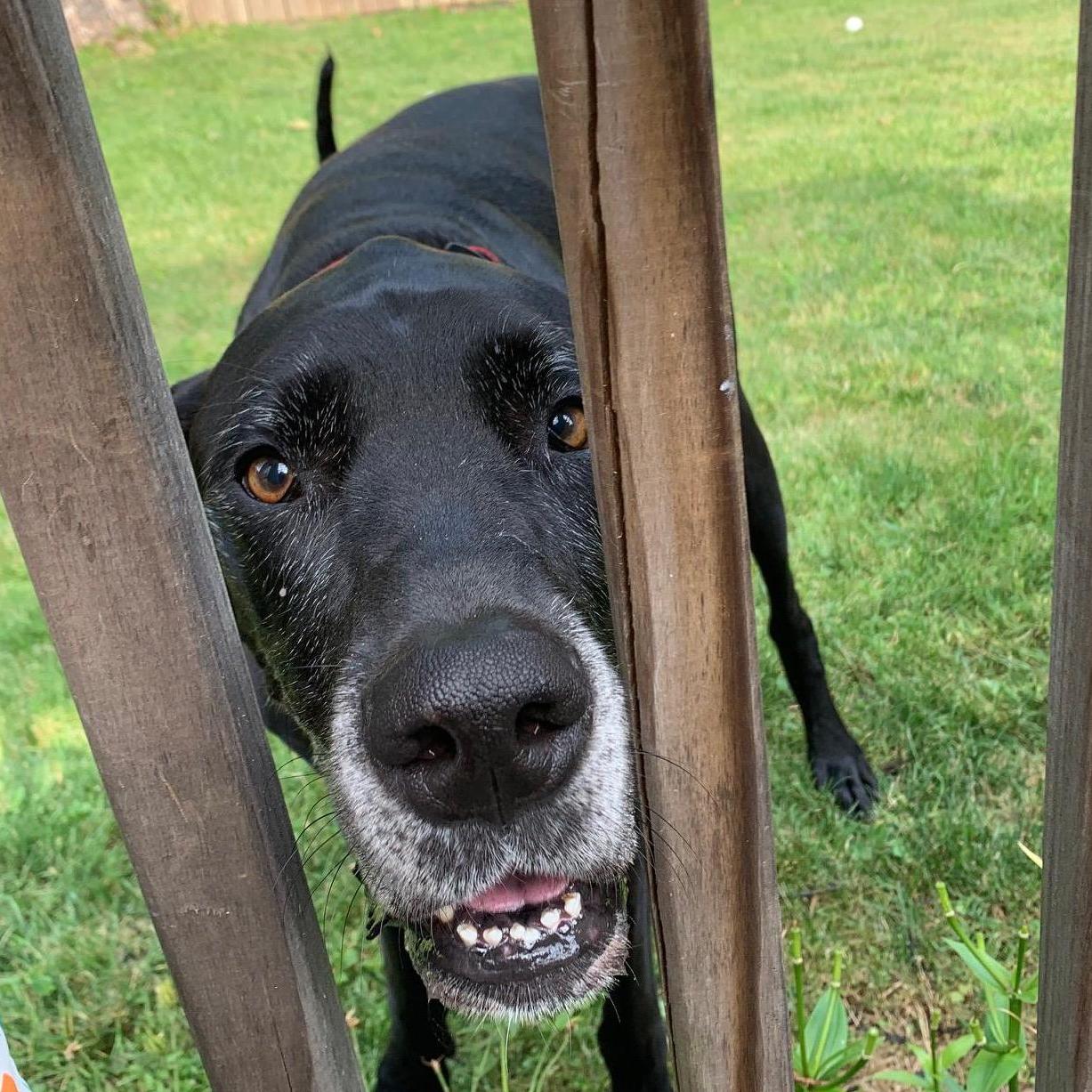 The Best Boy, our Enzo