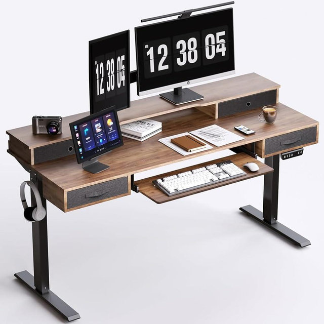 REGISDESK Electric Standing Desk, 55" Standing Desk Adjustable Height, Adjustable Desk with 4 Drawers, Ergonomic Adjustable Sit Stand Desk with Keyboard Tray, Rustic Brown