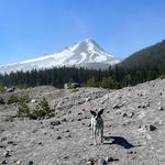 Mount Hood