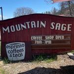 Mountain Sage