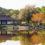 Morikami Museum and Japanese Gardens