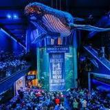 Wonders Of Wildlife National Museum & Aquarium