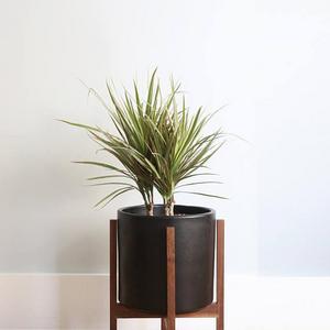 Medium Mid-Century Modern Cylinder Planter set with solid Wood Planter Stand - 10" Ceramic Pot