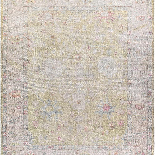 Hauteloom Zinnia Vintage Distressed Faded Area Rug - Oriental Bohemian Turkish Floral Carpet - Machine Washable Rug - Stain Resistant - Pet Friendly - Pink, Green, Blue - 5'3" x 7' (5x7)