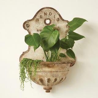 Behold Budapest Wall-Mounted Planter