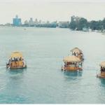 Aloha Tiki Tours