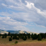 Blue Mountain Trail Loop