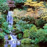 Portland Japanese Garden