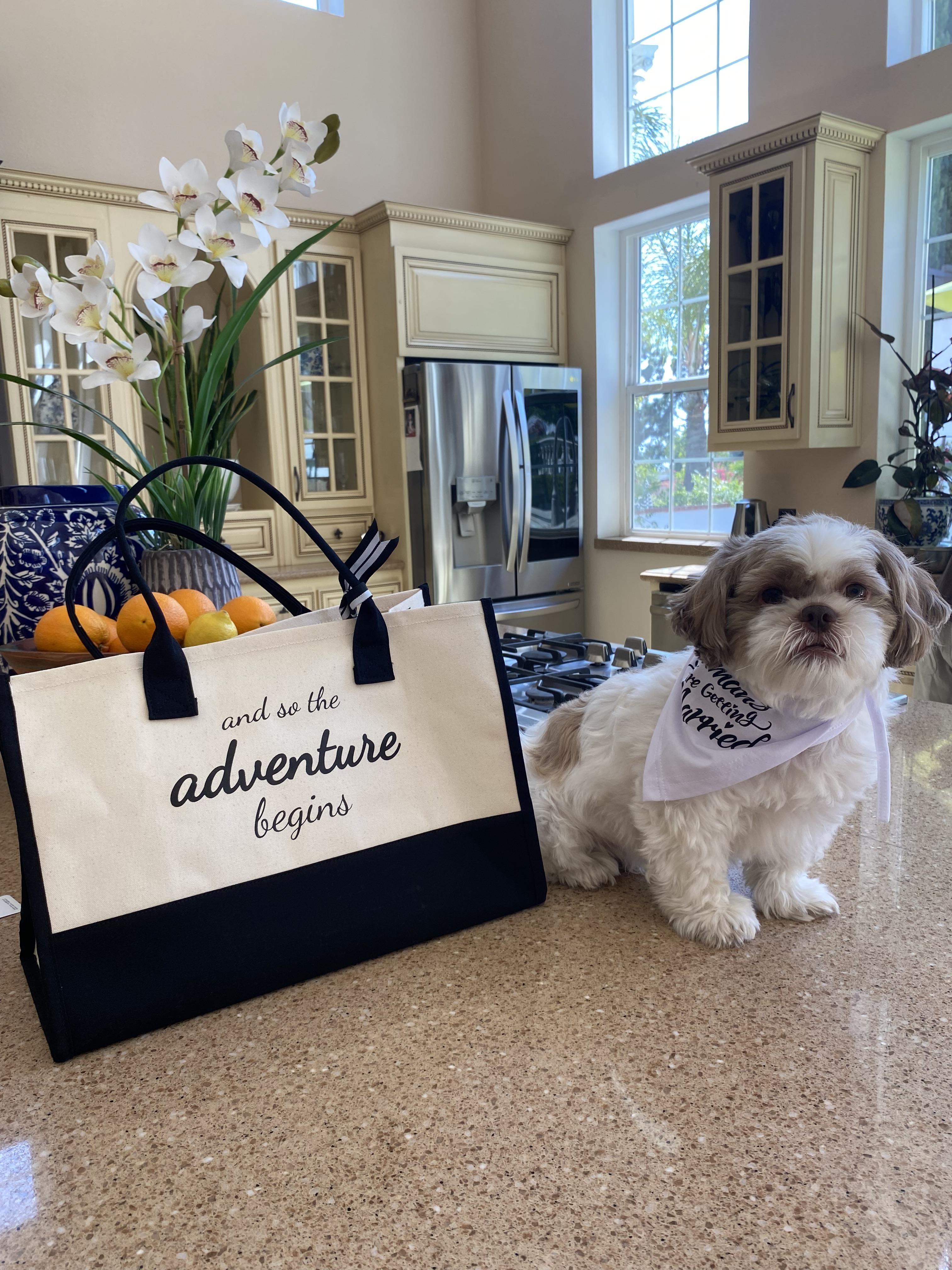 The Wedding Website of Isabella Davalos and Manan Patel