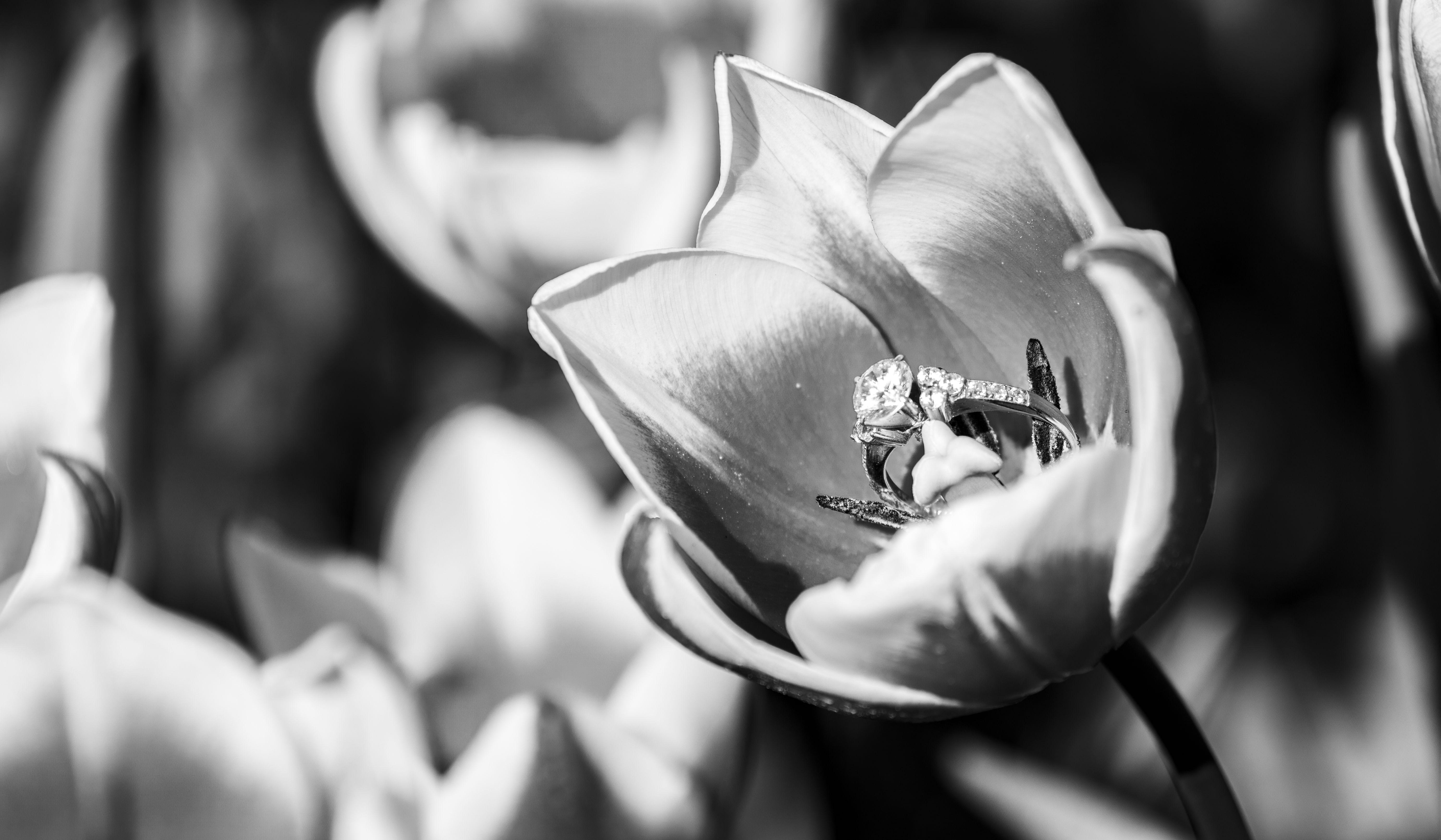 Hero Slideshow Image 4