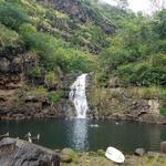 Fun | Waimea Valley (Great for families and kids)