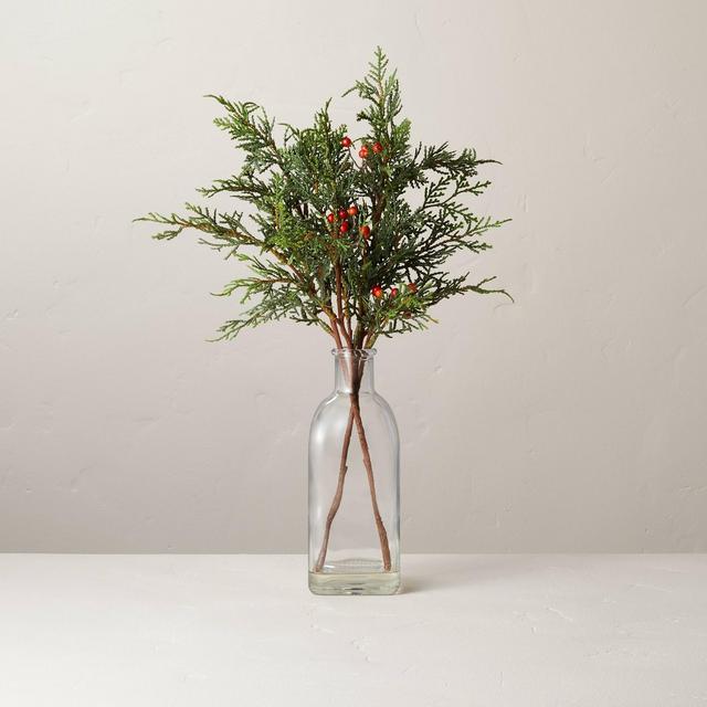 16" Faux Cypress & Berry Stems Glass Arrangement - Hearth & Hand™ with Magnolia