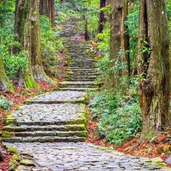 Guided Mountain Hike
