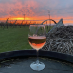 Newport Vineyards