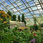 Foellinger-Freimann Botanical Conservatory