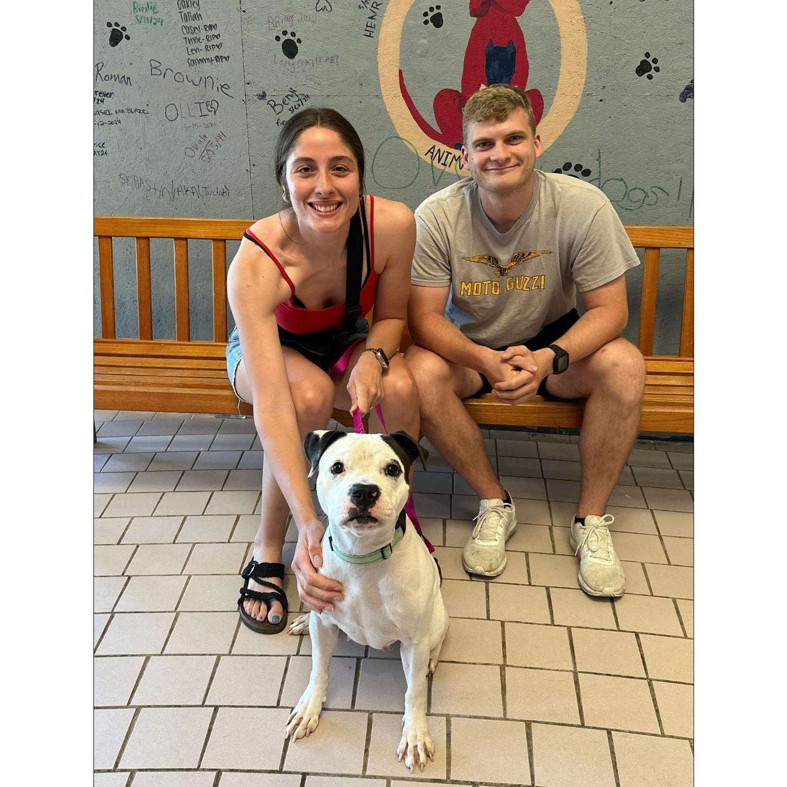 When we adopted Greta