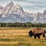 Jackson, WY: Grand Teton National Park