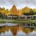 Six Mile Creek Vineyard