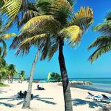 Visit Smathers Beach