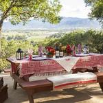 Picnic at Rutherford Hill Winery