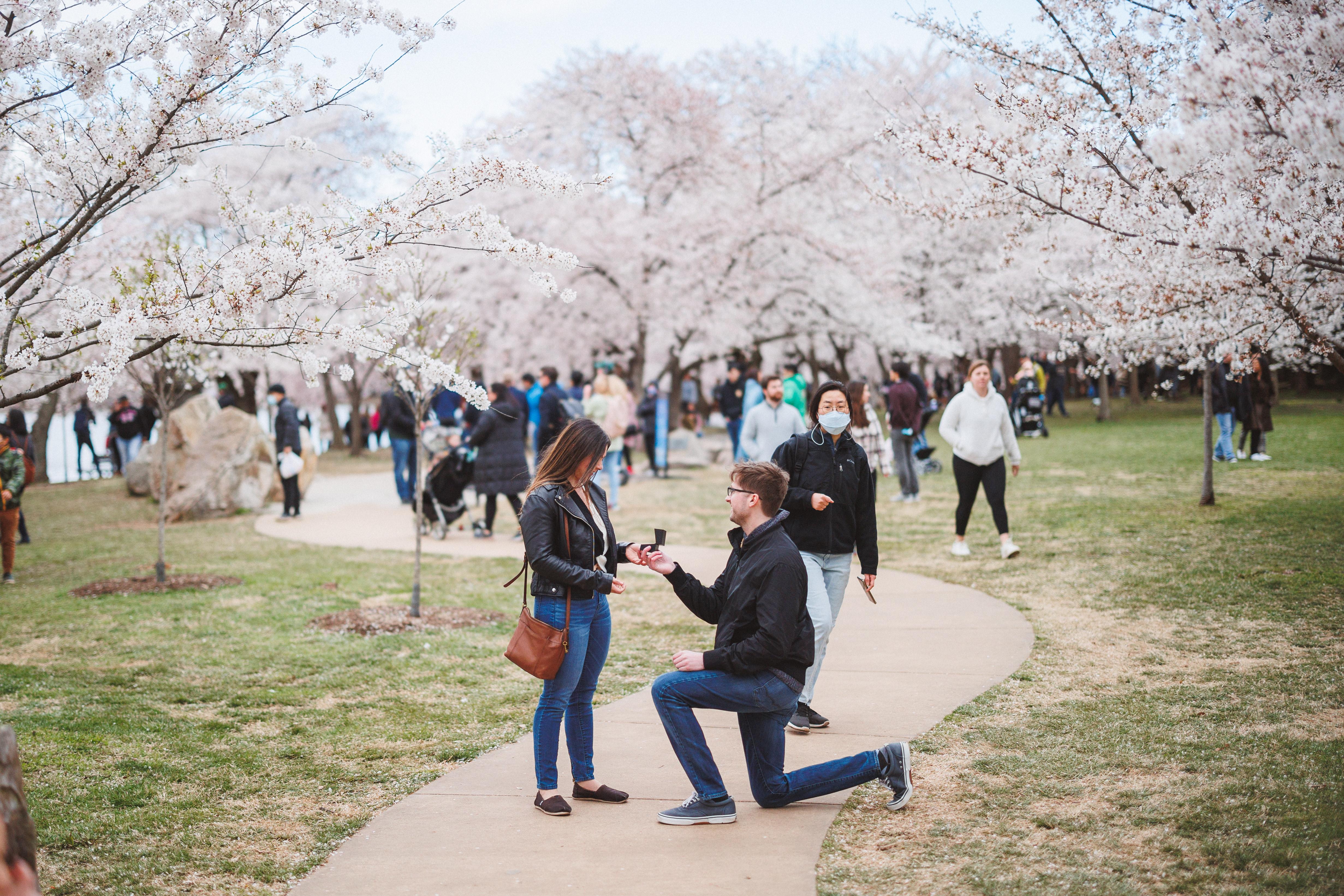 The Wedding Website of Cara Weinstein and Daniel Moleski