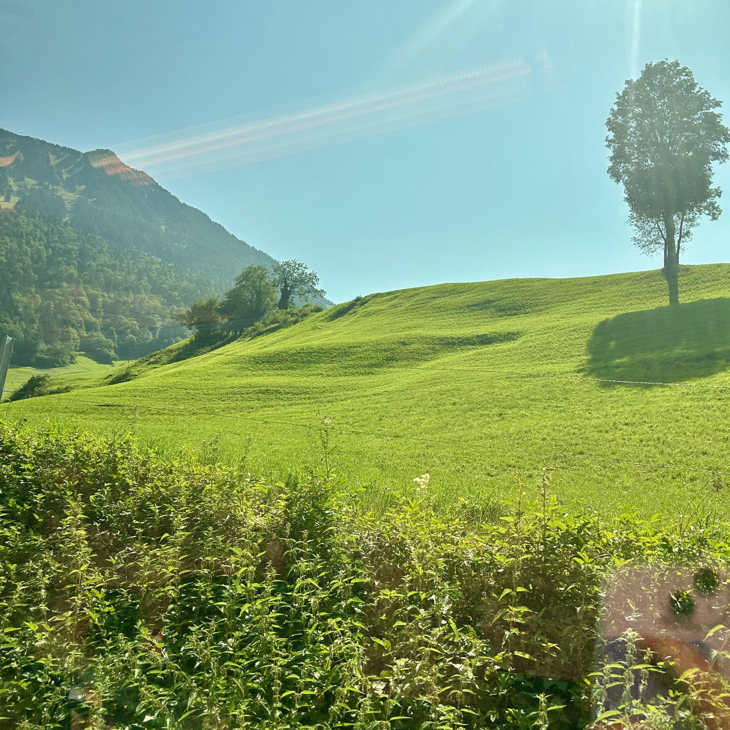 Day 4 - Scenic train from Interlaken to Zurich through Luzern.