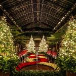 Longwood Gardens