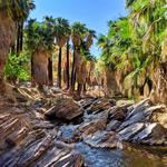 Palm Canyon Trail 4E01