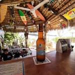 Shaka's Delicious Wood Cantina y Galeria