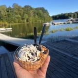 Moo Thru Lake Anna